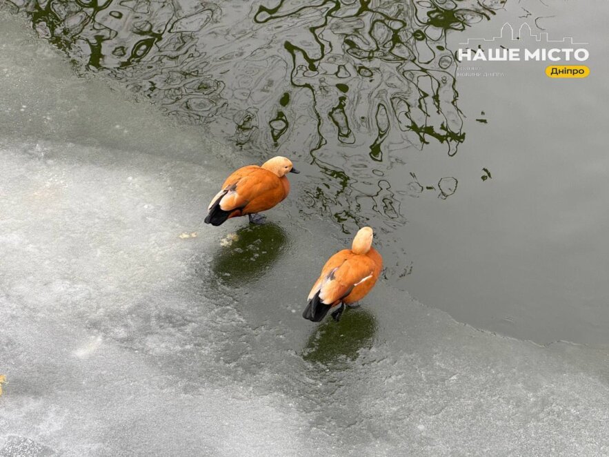 28 січня: традиції та заборони дня святого Єфрема Сирина
