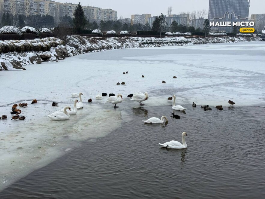 Морози повертаються: чого чекати від погоди в Україні?