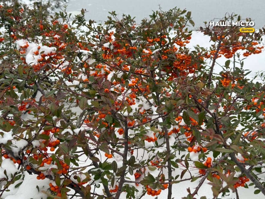 26 січня: традиції та заборони цього дня