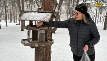 Як допомогти тваринам узимку: поради дніпрянам