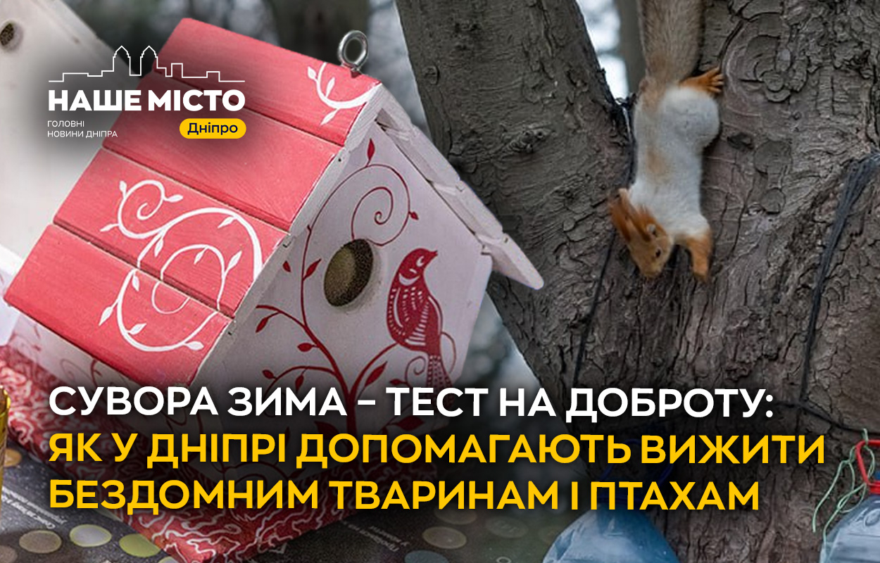 Допомога бездомним тваринам у Дніпрі під час морозів
